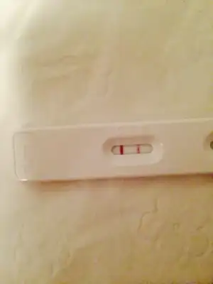 image.webp