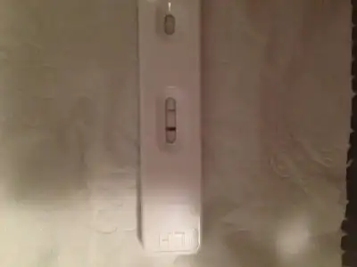 image.webp