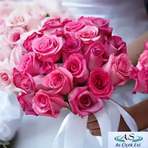 $20100610130555.webp