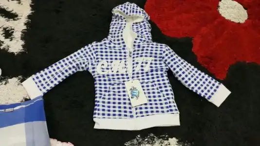 image.webp
