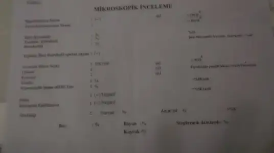 1449150004098522235380.webp