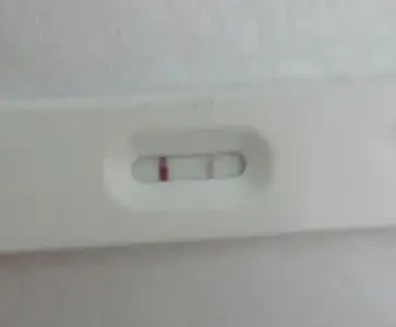 2015-12-03 20.49.49.webp