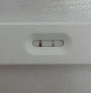 2015-12-04 17.28.46.webp