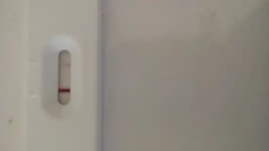 14493889606731685739860.webp