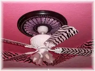 $Anderson_Zebra_Room_Fan.webp
