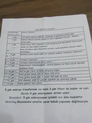 1449812679970.webp
