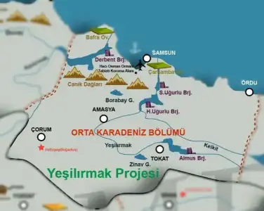 14.webp