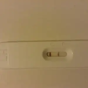 image.webp