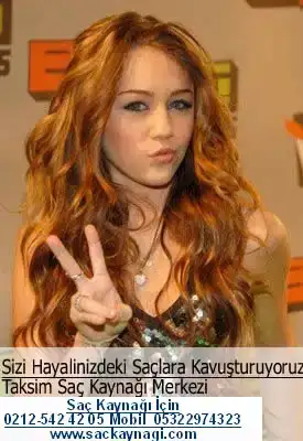 $seksi_17.webp
