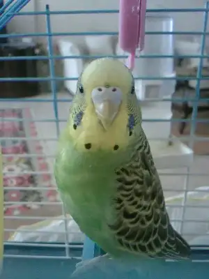 $(e)SP_A0230.webp