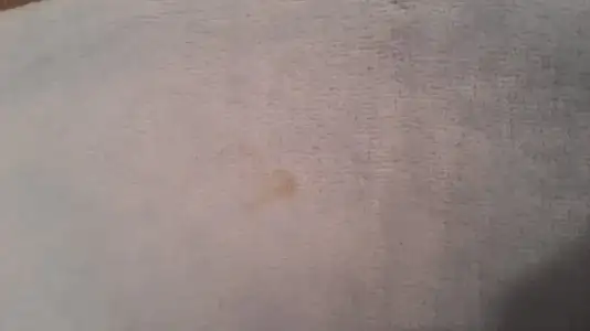 20151222_155742.webp