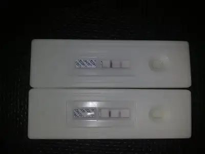 $06102011650.webp
