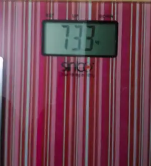 73.3.webp