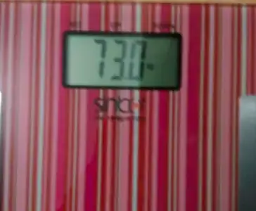 73.0.webp