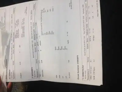 image.webp