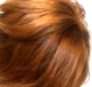 $100_2106.webp