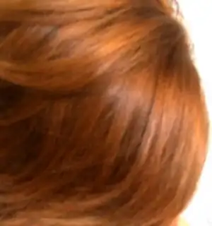 $100_2105.webp