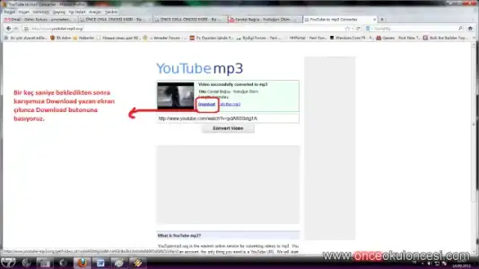 $626364e7070673b17a.webp