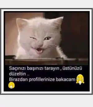 Screenshot_2016-01-21-19-21-47-1.webp