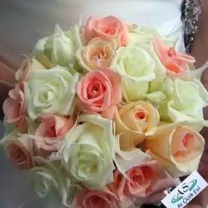 $20101111191847.webp