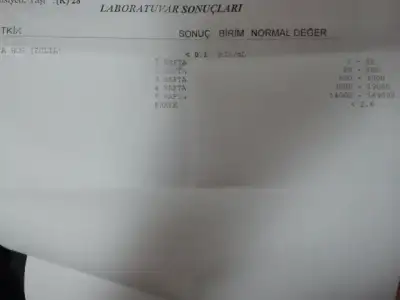 $2011-10-12 19.10.16.webp