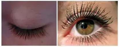 $falsies.webp