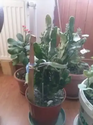 2016-02-09 16.03.32.webp