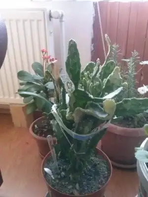 2016-02-09 16.03.54.webp