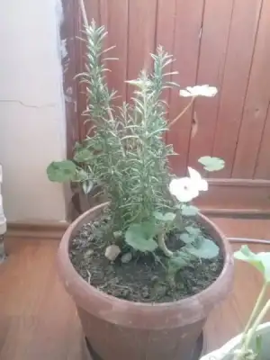 2016-02-09 16.03.40.webp