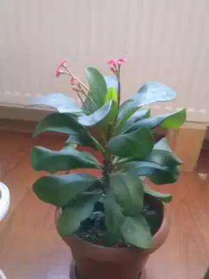 2016-02-09 16.04.14.webp