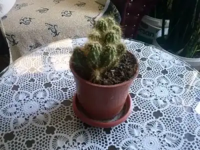 2016-02-09 16.22.22.webp