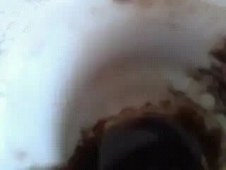 $1319016322798.webp