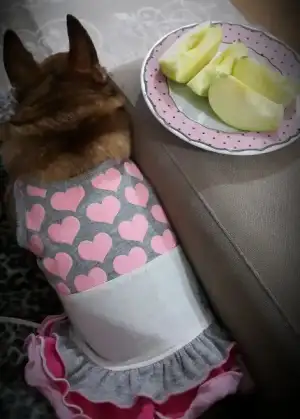 2016-02-22 14.39.37.webp