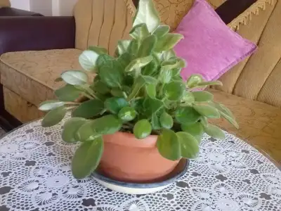 2016-02-23 14.35.03.webp