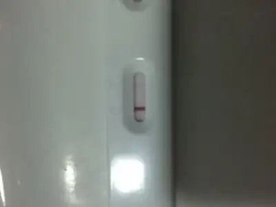 image.webp