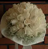 $gel. el Ã§iÃ§e&#287;imm.webp