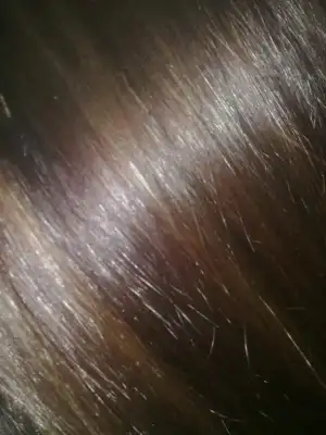 $211020111070.webp $211020111070.webp