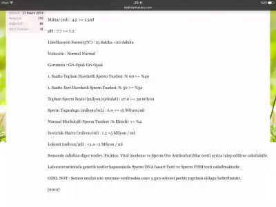 image.webp