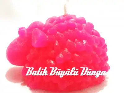 KOYUN PEMBE.webp
