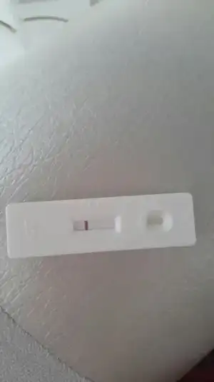 2016-03-03 15.18.55.webp