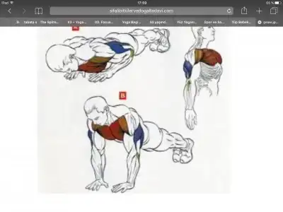 image.webp
