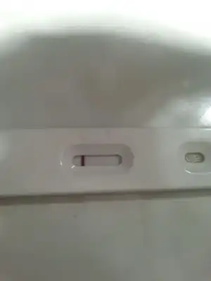 IMG-20160224-WA0034.webp