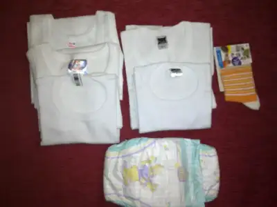 $02.webp