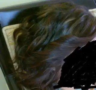 $03072010026.webp $03072010026.webp