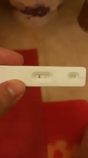 2016-03-16 13.22.51.webp