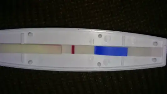 2016-03-29 23.29.34.webp