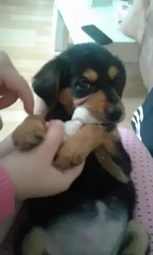 20160402_115527.webp