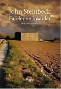 1369920455_b.webp