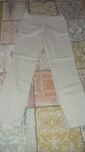 IMAG5197.webp