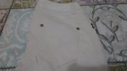 IMAG5202.webp
